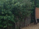 Composite Decking installation